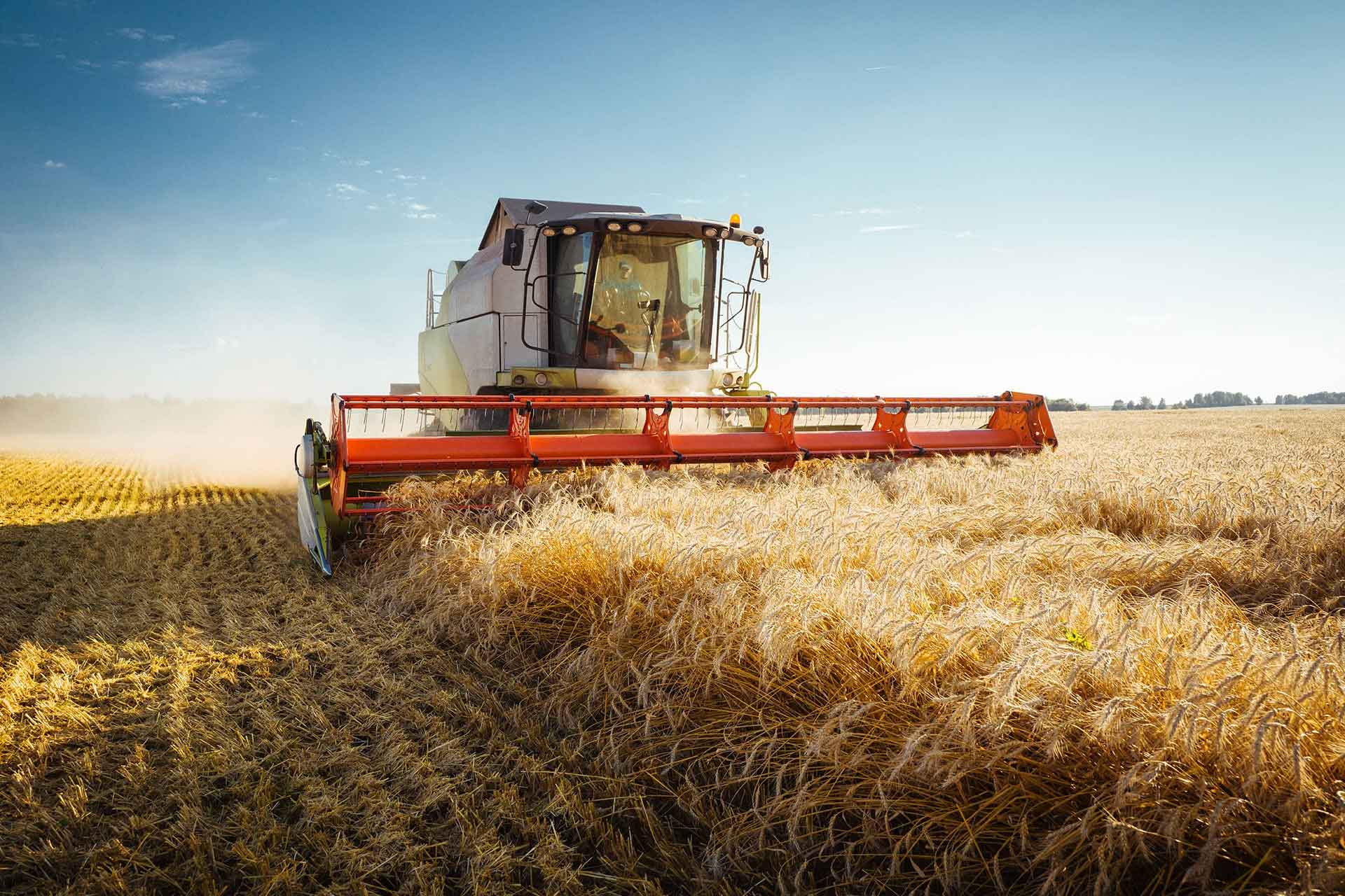 Agrotal