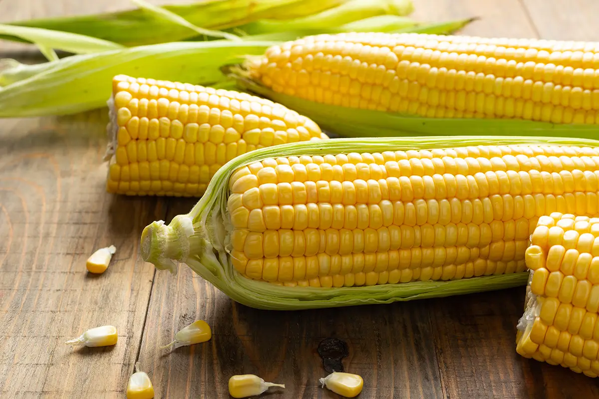 Agrotal